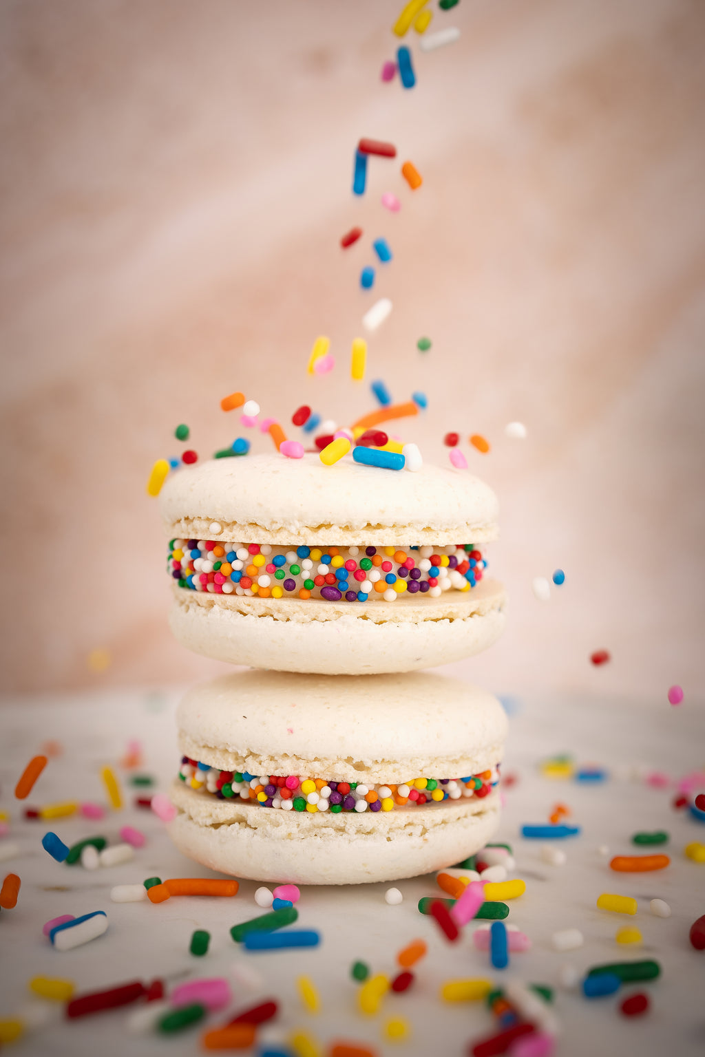 Box of 6 Assorted Macarons