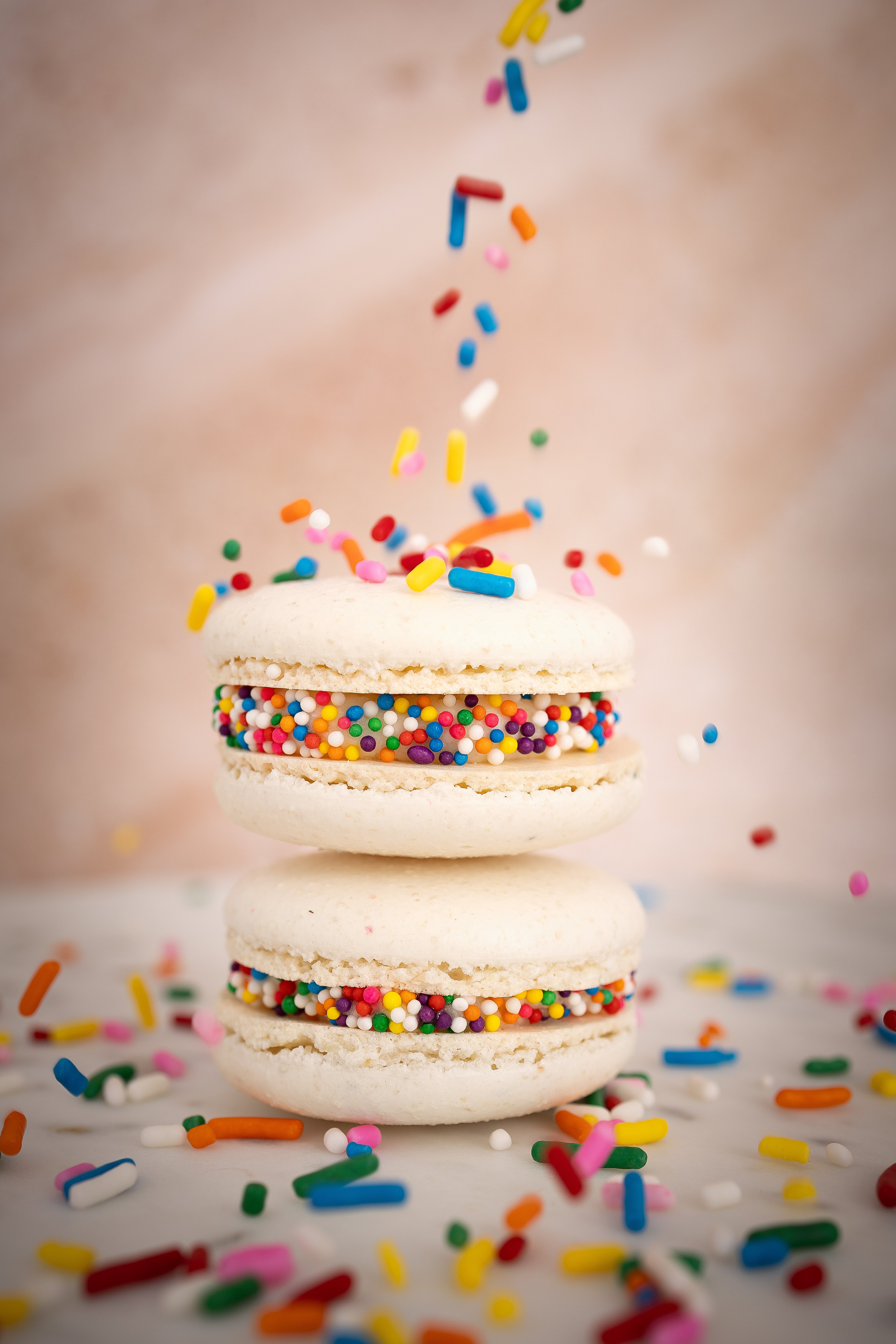 Box of 6 Assorted Macarons