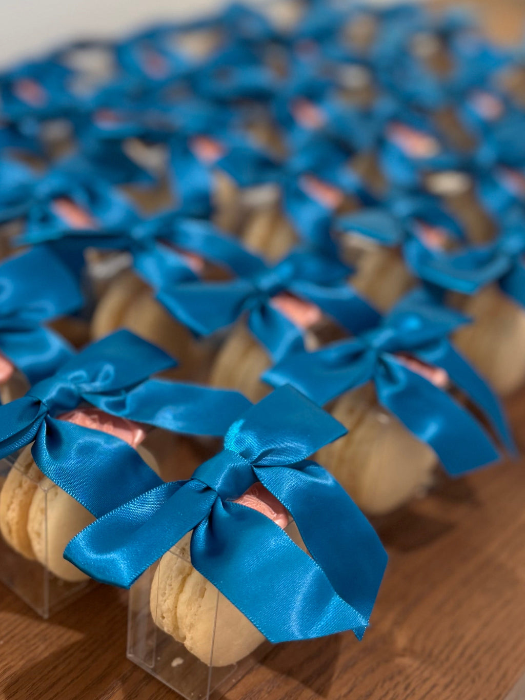 Macaron Party Favors